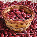 White Kidney Bean China Origin